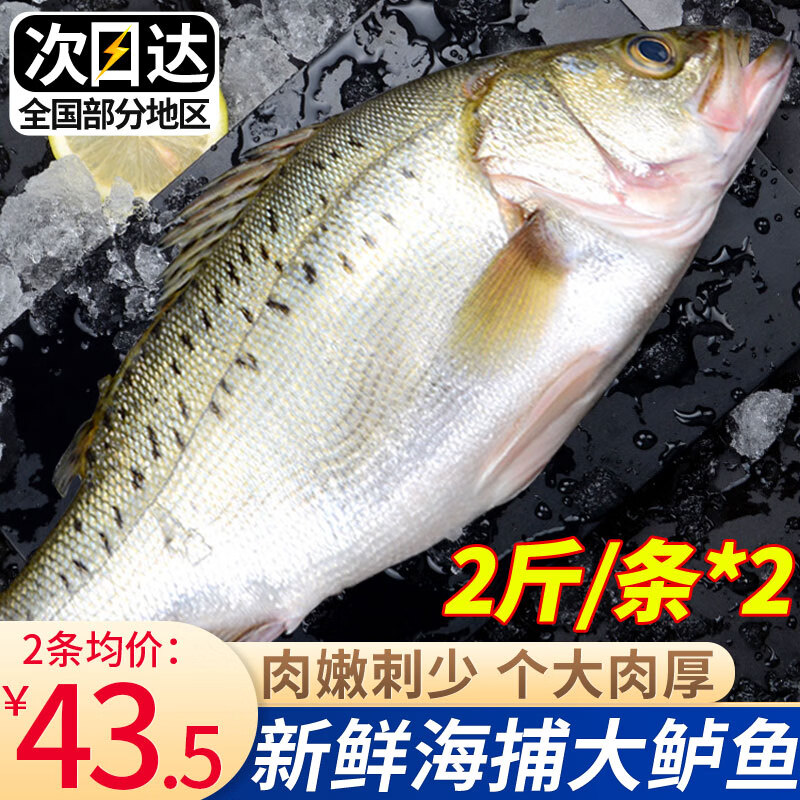 如何正确处理生鲜鱼类以保持新鲜